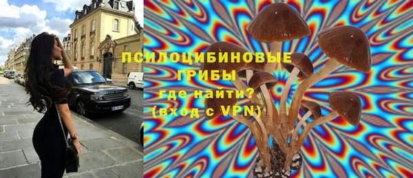 амф Богданович