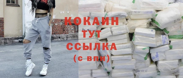 амф Богданович
